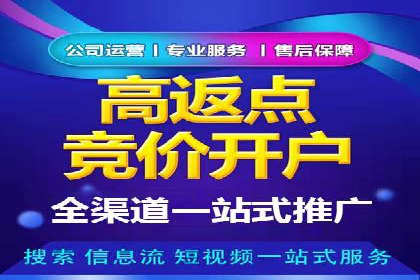 顶尖SEM竞价代运营公司案例分析
